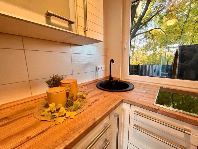 Ferienhaus Harzblick Meisdorf Exteriör bild